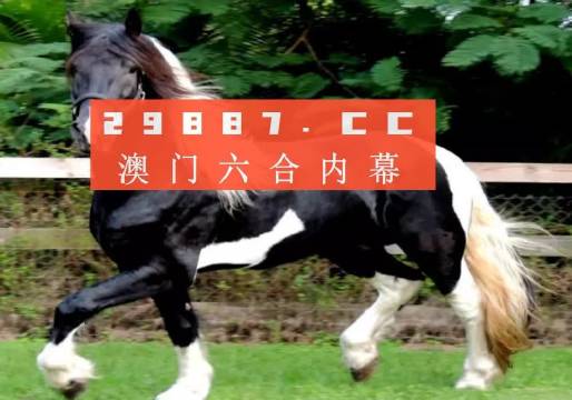 澳门和香港一肖一码一一特一中厂;精选解析解释落实