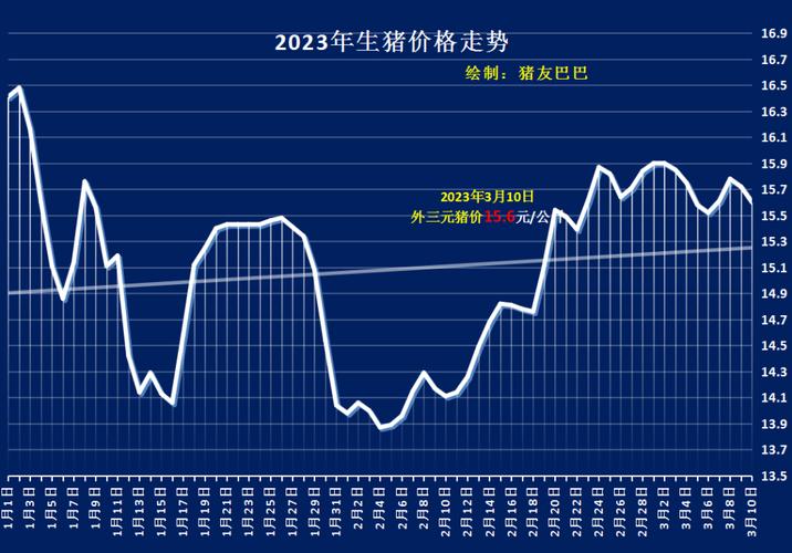 猪肉价格最新动态，市场走势、影响因素及未来预测