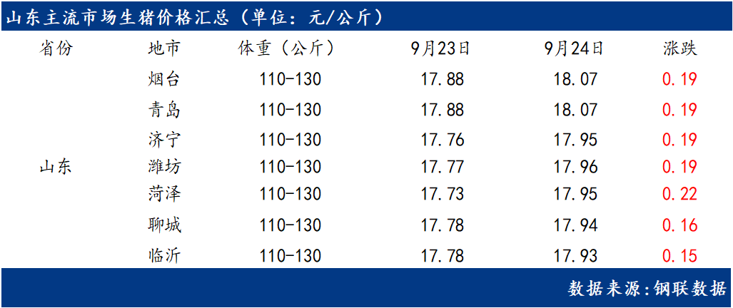 山东生猪最新价格动态分析