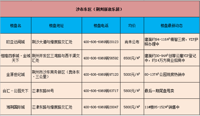 沙市最新情况概览