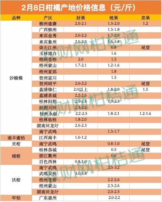 沃柑最新行情分析