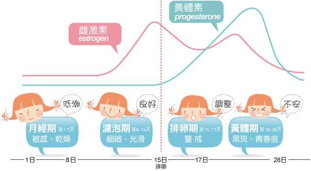 最新月经报告，深入了解女性生理周期的变化与影响