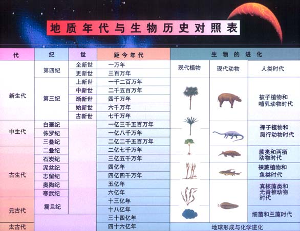 地蛋最新直播，探索与发现的新纪元